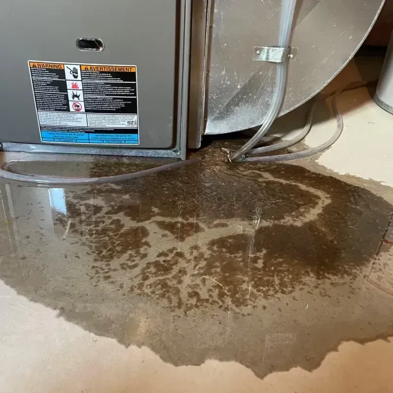 Appliance Leak Cleanup in Marion, IN